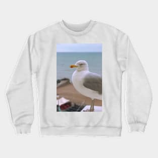 Seagull Crewneck Sweatshirt